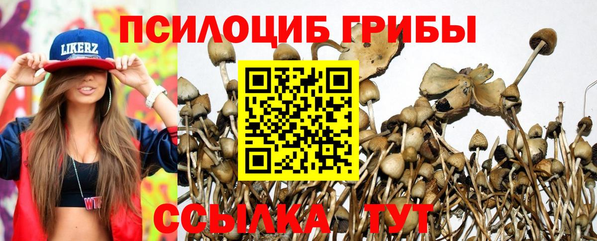 Псилоцибиновые грибы ЛСД Магнитогорск