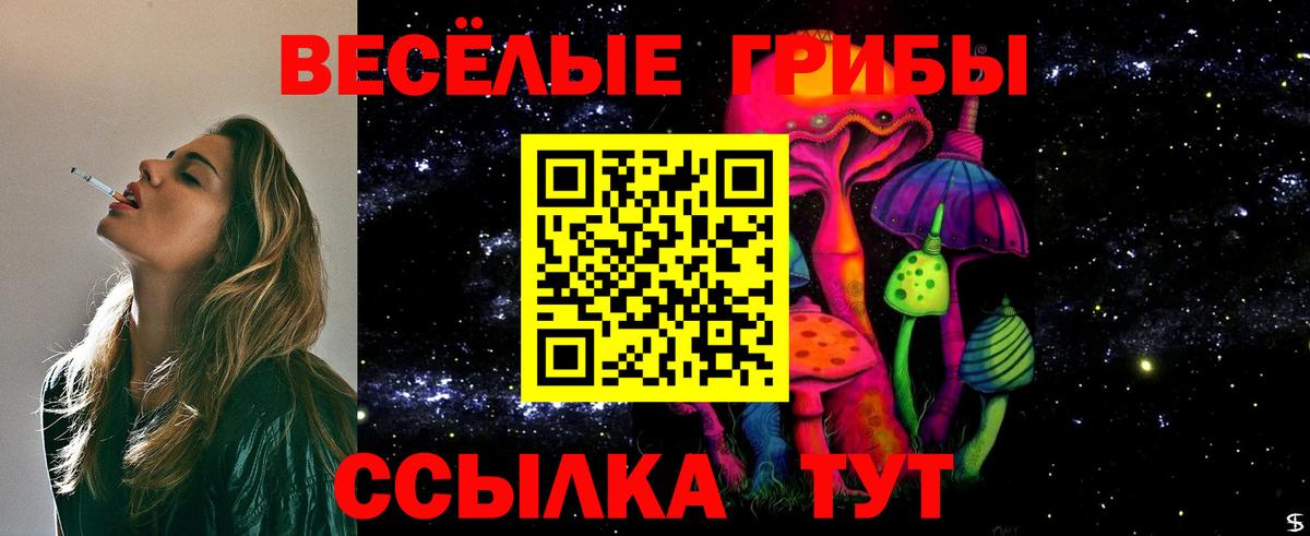 Магнитогорск  Галлюциногенные грибы Psilocybe  Вход с VPN 